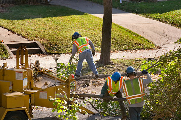 Lawn Watering Services in Splendora, TX